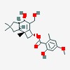 Picture of molecule