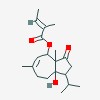 Picture of molecule