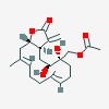 Picture of molecule