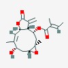 Picture of molecule