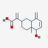 Picture of molecule