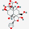 Picture of molecule