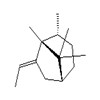 Picture of molecule