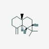 Picture of molecule