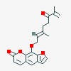 Picture of molecule