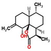 Picture of molecule