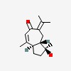 Picture of molecule