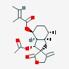 Picture of molecule