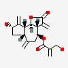 Picture of molecule