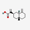 Picture of molecule