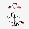 Picture of molecule