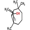 Picture of molecule