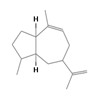 Picture of molecule