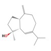 Picture of molecule