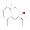 Picture of molecule