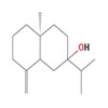 Picture of molecule