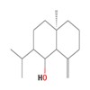 Picture of molecule